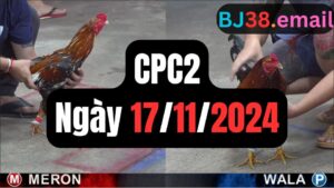 Trực tiếp thomo CPC2 17-11-2024