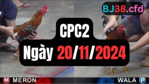Trực tiếp thomo CPC2 20-11-2024