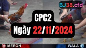 Trực tiếp thomo CPC2 22-11-2024