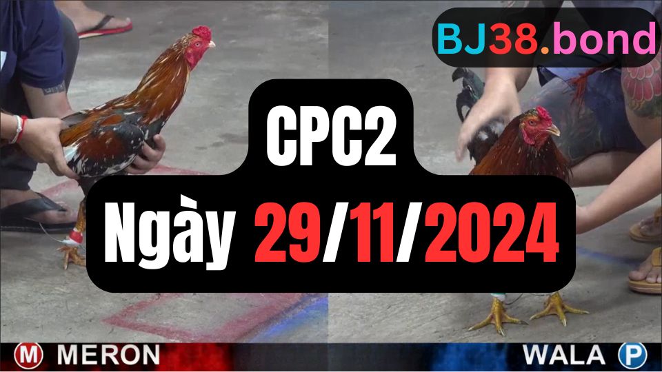Trực tiếp thomo CPC2 29-11-2024