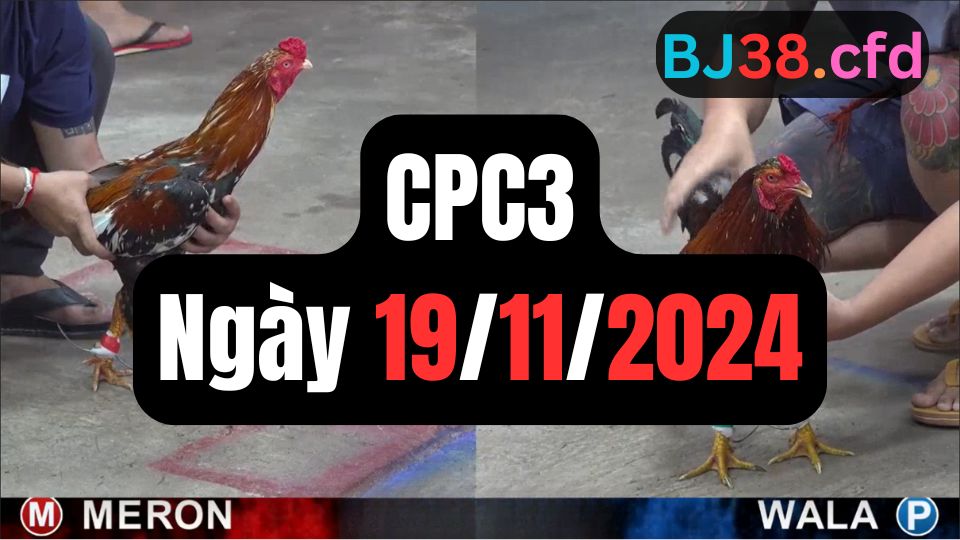 Trực tiếp thomo CPC3 19-11-2024