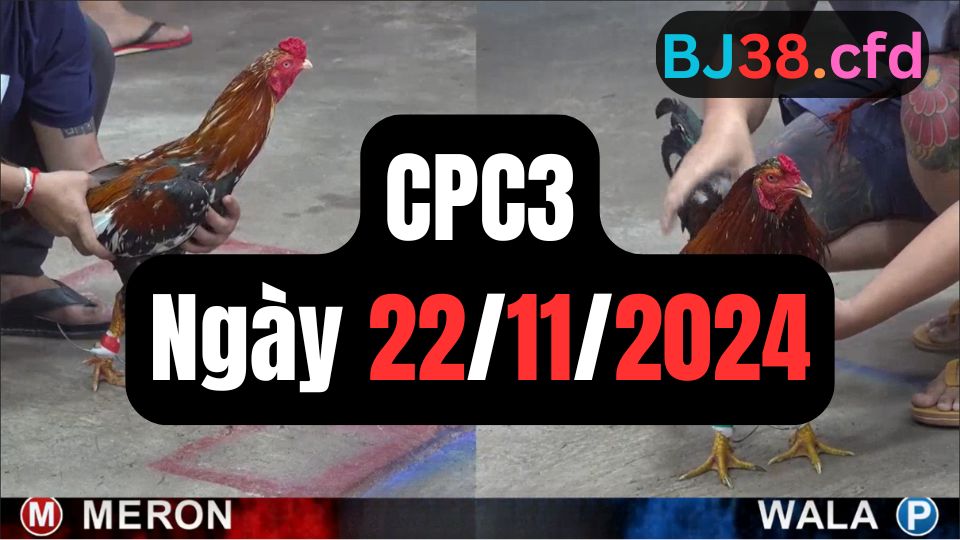 Trực tiếp thomo CPC3 22-11-2024
