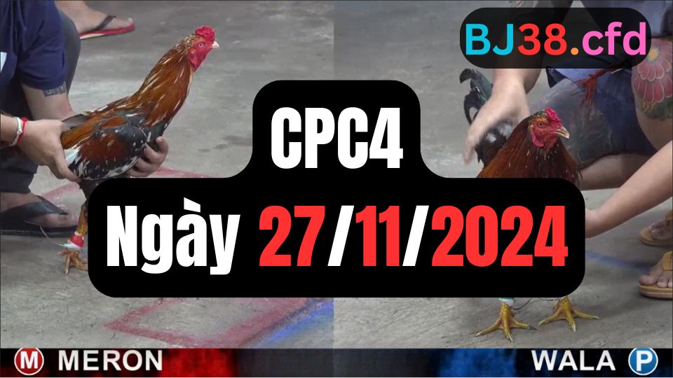 Trực tiếp thomo CPC4 27-11-2024