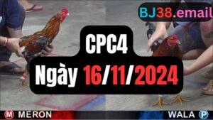Trực tiếp thomo CPC4 16-11-2024