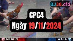 Trực tiếp thomo CPC4 19-11-2024