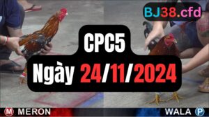 Trực tiếp thomo CPC5 24-11-2024