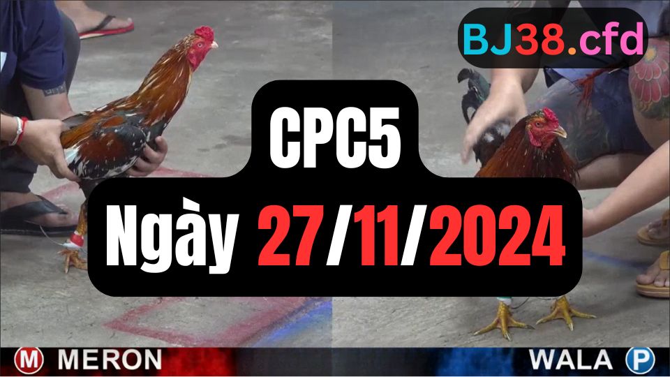 Trực tiếp thomo CPC5 27-11-2024