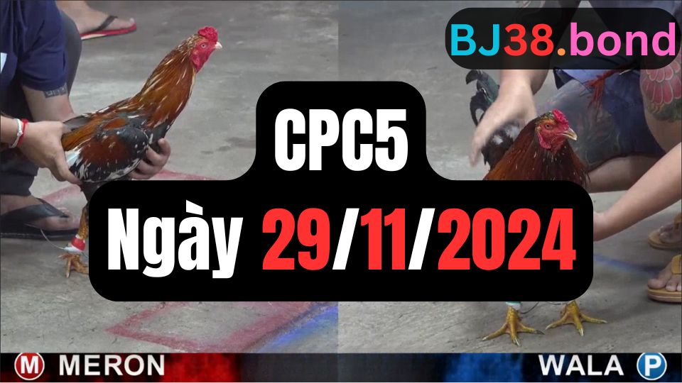 Trực tiếp thomo CPC5 29-11-2024