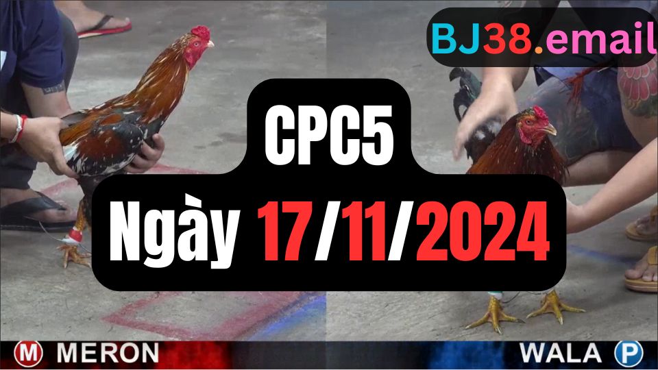 Trực tiếp thomo CPC5 17-11-2024