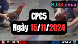 Trực tiếp thomo CPC5 15-11-2024