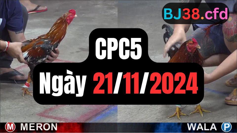 Trực tiếp thomo CPC5 21-11-2024