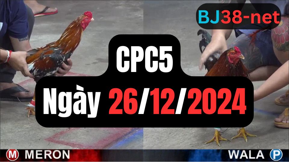 Trực tiếp thomo CPC5 26-12-2024